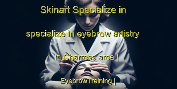 Skinart Specialize in specialize in eyebrow artistry in Charrees area | EyebrowTraining | EyebrowClasses | SkinartTraining-France